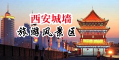 骚逼掰开给男人搞视频中国陕西-西安城墙旅游风景区